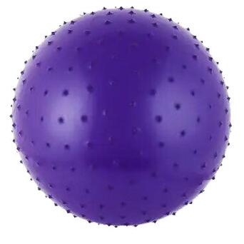 М'яч для фітнесу Gymnastic Ball, фіолетовий (65 см) Mic (CO9005) фото №1