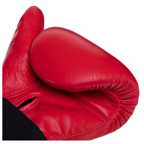 Снарядні рукавички шкіряні Top King Boxing Pro TKBMP-CT L Червоний (37551059) фото №3
