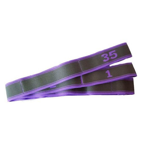 Гумка для фітнесу Profi MS 2238 Сіро-фіолетовий (56394017) фото №1