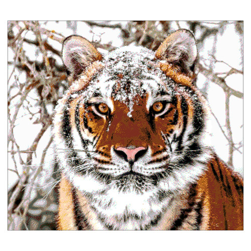 Набір для вишивання бісером Олександра Токарєва Сибірський тигр (41-2695-НС) фото №1